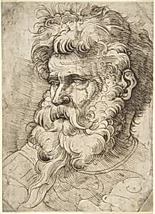 Head of a Bearded Man by Monogrammist SM