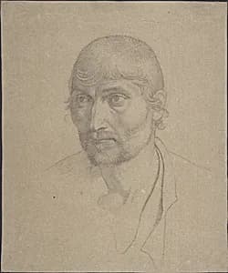 Head of a Bearded Man