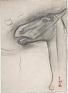 Head of a Horse by Edgar Degas