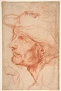 Head of a Man