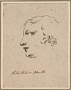 Head of a Man by Pietro Antonio Novelli