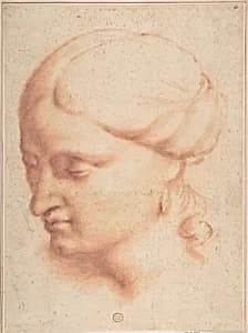 Head of a Woman by Anonymous, Italian, Roman-Bolognese, 17th century