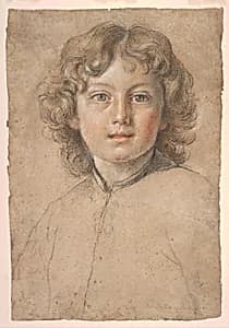 Head of a Young Boy