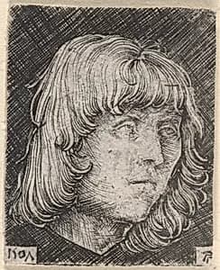 Head of a Young Man by Albrecht Altdorfer