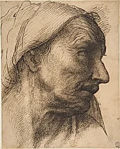 Head of an Old Woman by Sebastiano del Piombo (Sebastiano Luciani)