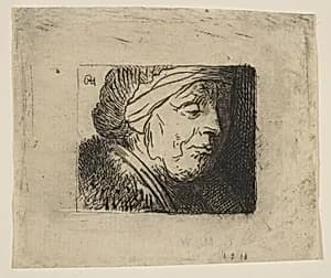 Head of an Old Woman by Jan Georg (Joris) van Vliet