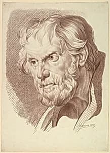 Head of Bearded Old Man