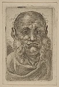 Head of Old Man by Stefano della Bella