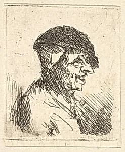 Head of Peasant by Adriaen van Ostade