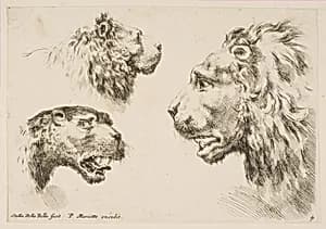 Heads of Three Lions by Stefano della Bella|Pierre Mariette