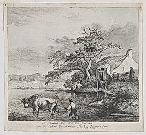 Herdsman and Bull, after Ruisdael by Jean Jacques de Boissieu|Jacob van Ruisdael
