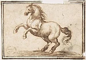 Horse by Francesco Allegrini
