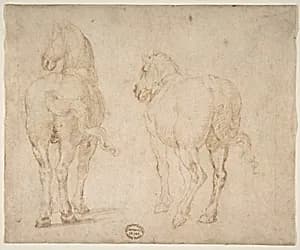 Horses by Francesco Allegrini|Parmigianino (Girolamo Francesco Maria Mazzola)