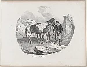 Horses of Auvergne by Théodore Gericault|Godefroy Engelmann