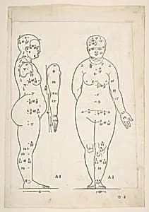 Illustration from Dürers Vier Bucher von Menslicher Proportion, Nuremberg, 1528 by Albrecht Dürer