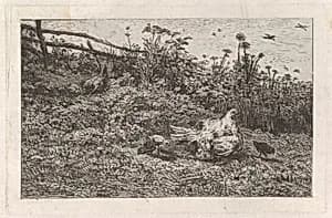 Le Poule et ses Poussins by Charles-François Daubigny|Auguste Delâtre