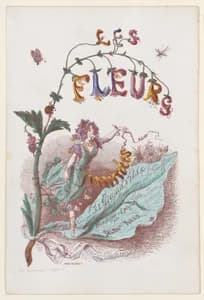 Portrait of Alphonse Karr|Gabriel de Gonet|J. J. Grandville|Dubuisson|Charles-Michel Geoffroy