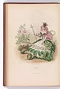 Les Fleurs Animées by Taxile Delord|Garnier Frères|J. J. Grandville|Charles-Michel Geoffroy