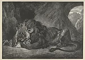 Lion of the Atlas Mountains by Eugène Delacroix