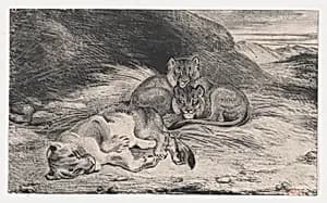 Lioness and Cubs by Antoine-Louis Barye