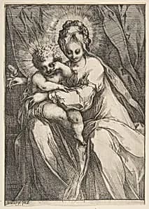 Madonna with a Rose