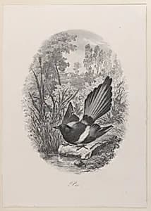 Magpie by Charles-François Daubigny