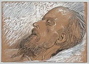 Manet on His Deathbed by Pierre-Ernest Prins|Edouard Manet