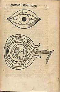 Margarita Philosophica by Gregorius Reisch|Urs Graf|Johann Schott