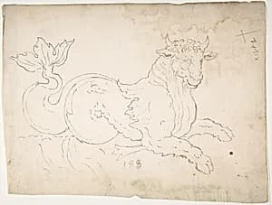 Marine bull, detail (recto) blank (verso) by Anonymous, French, 16th century