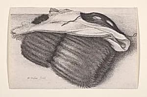 Muff, Handkerchief, and Mask by Wenceslaus Hollar