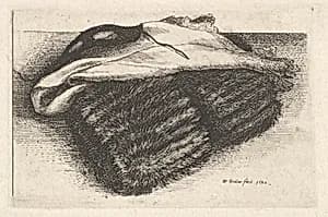 Muff, white kerchief and mask by Wenceslaus Hollar