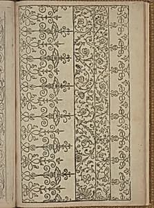 New Modelbüch (Page 24r) by Andreas Bretschneider|Henning Gross the younger