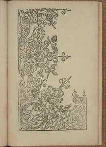 New Modelbüch (Page 31r)