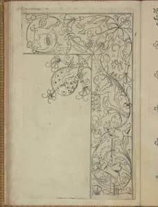 New Modelbüch (Page 49r)