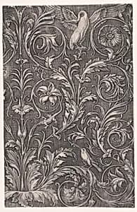Ornamental Panel by Agostino Veneziano (Agostino dei Musi)