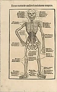 Ortus Sanitatis/ De herbis et plantis/ De Animalibus & reptilibus ... by Johann Prüss the Elder