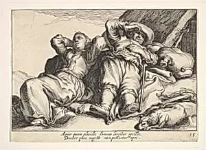 Pleasures of Occupation