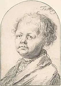 Portrait of a Young Boy by Frans van Mieris the Elder