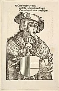 Portrait of Charles V by Hans Baldung (called Hans Baldung Grien)