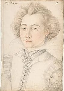 Portrait of Jacques d'O by Anonymous, French, 16th century