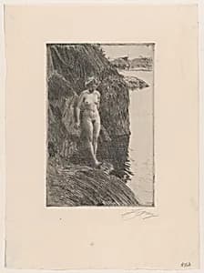 Precipice by Anders Zorn