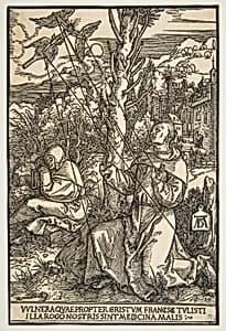 Saint Francis Receiving the Stigmata by Albrecht Dürer