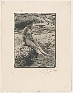 Sandhamn by Anders Zorn