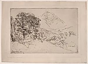 Scotch Firs, Inveroran by Sir Francis Seymour Haden