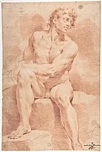 Seated Male Nude