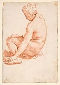 Seated Male Nude by Francesco Salviati (Francesco de' Rossi)