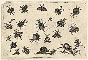 Small Motifs of Insects and Plants by Georg Herman