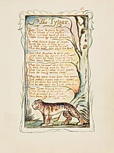Songs of Experience: The Tyger by William Blake