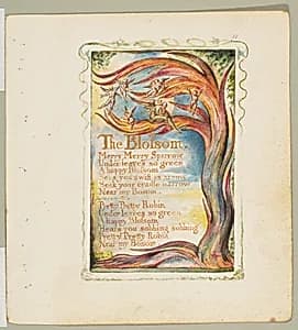 Songs of Innocence: The Blossom by William Blake
