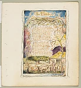 Songs of Innocence: The Lamb by William Blake